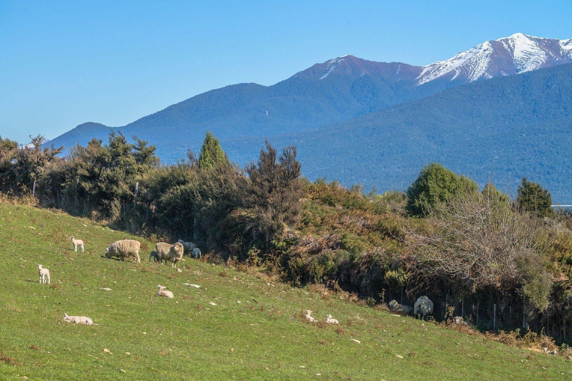 Loch Vista Bed & Breakfast Te Anau Extérieur photo